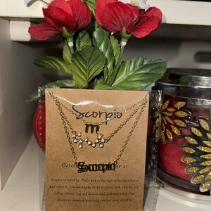 Zodiac sign Scorpio necklace (October 23- November 21)♏️🦂